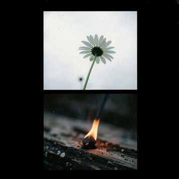 ქალი და ხელოვნება